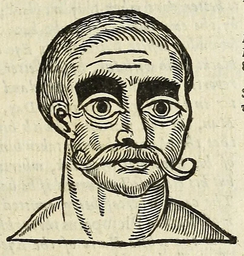 An illustration from Anthropometamorphosis: man transform'd: or, The artificiall changling, historically presented, in the mad and cruel gallantry, foolish bravery, ridiculous beauty, filthy finenesse, and loathsome loveliness of most nations, fashioning and altering their bodies from the mould intended by nature; with figures of those transformations. To which artificial and affected deformations are added, all the native and national monstrosities that have appeared to disfigure the humane fabrick. With a vindication of the regular beauty and honesty of nature, 1653, leaf 155