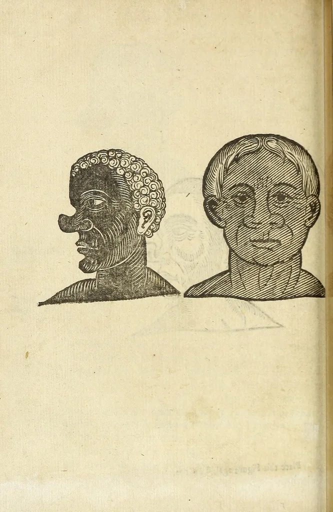 An illustration from Anthropometamorphosis: man transform'd: or, The artificiall changling, historically presented, in the mad and cruel gallantry, foolish bravery, ridiculous beauty, filthy finenesse, and loathsome loveliness of most nations, fashioning and altering their bodies from the mould intended by nature; with figures of those transformations. To which artificial and affected deformations are added, all the native and national monstrosities that have appeared to disfigure the humane fabrick. With a vindication of the regular beauty and honesty of nature, 1653, leaf 180