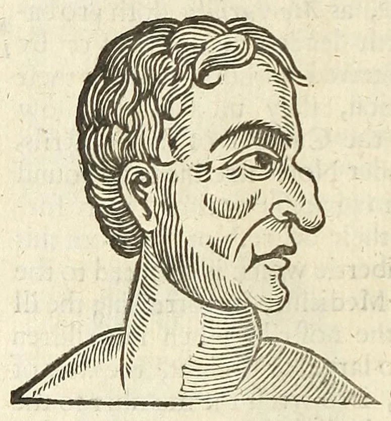 An illustration from Anthropometamorphosis: man transform'd: or, The artificiall changling, historically presented, in the mad and cruel gallantry, foolish bravery, ridiculous beauty, filthy finenesse, and loathsome loveliness of most nations, fashioning and altering their bodies from the mould intended by nature; with figures of those transformations. To which artificial and affected deformations are added, all the native and national monstrosities that have appeared to disfigure the humane fabrick. With a vindication of the regular beauty and honesty of nature, 1653, leaf 194
