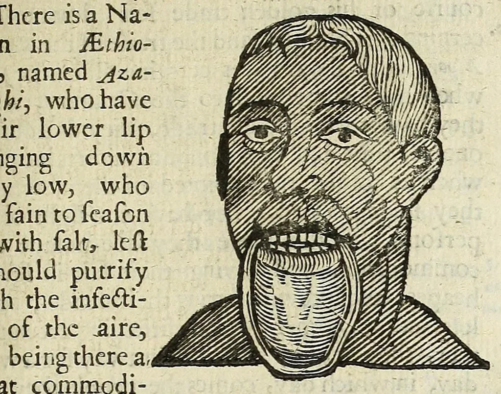 An illustration from Anthropometamorphosis: man transform'd: or, The artificiall changling, historically presented, in the mad and cruel gallantry, foolish bravery, ridiculous beauty, filthy finenesse, and loathsome loveliness of most nations, fashioning and altering their bodies from the mould intended by nature; with figures of those transformations. To which artificial and affected deformations are added, all the native and national monstrosities that have appeared to disfigure the humane fabrick. With a vindication of the regular beauty and honesty of nature, 1653, leaf 229