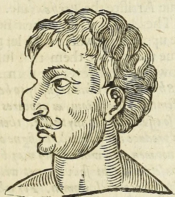 An illustration from Anthropometamorphosis: man transform'd: or, The artificiall changling, historically presented, in the mad and cruel gallantry, foolish bravery, ridiculous beauty, filthy finenesse, and loathsome loveliness of most nations, fashioning and altering their bodies from the mould intended by nature; with figures of those transformations. To which artificial and affected deformations are added, all the native and national monstrosities that have appeared to disfigure the humane fabrick. With a vindication of the regular beauty and honesty of nature, 1653, leaf 255