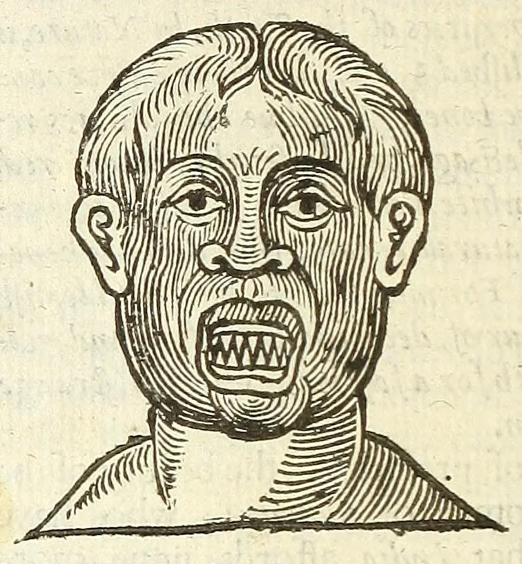 An illustration from Anthropometamorphosis: man transform'd: or, The artificiall changling, historically presented, in the mad and cruel gallantry, foolish bravery, ridiculous beauty, filthy finenesse, and loathsome loveliness of most nations, fashioning and altering their bodies from the mould intended by nature; with figures of those transformations. To which artificial and affected deformations are added, all the native and national monstrosities that have appeared to disfigure the humane fabrick. With a vindication of the regular beauty and honesty of nature, 1653, leaf 280