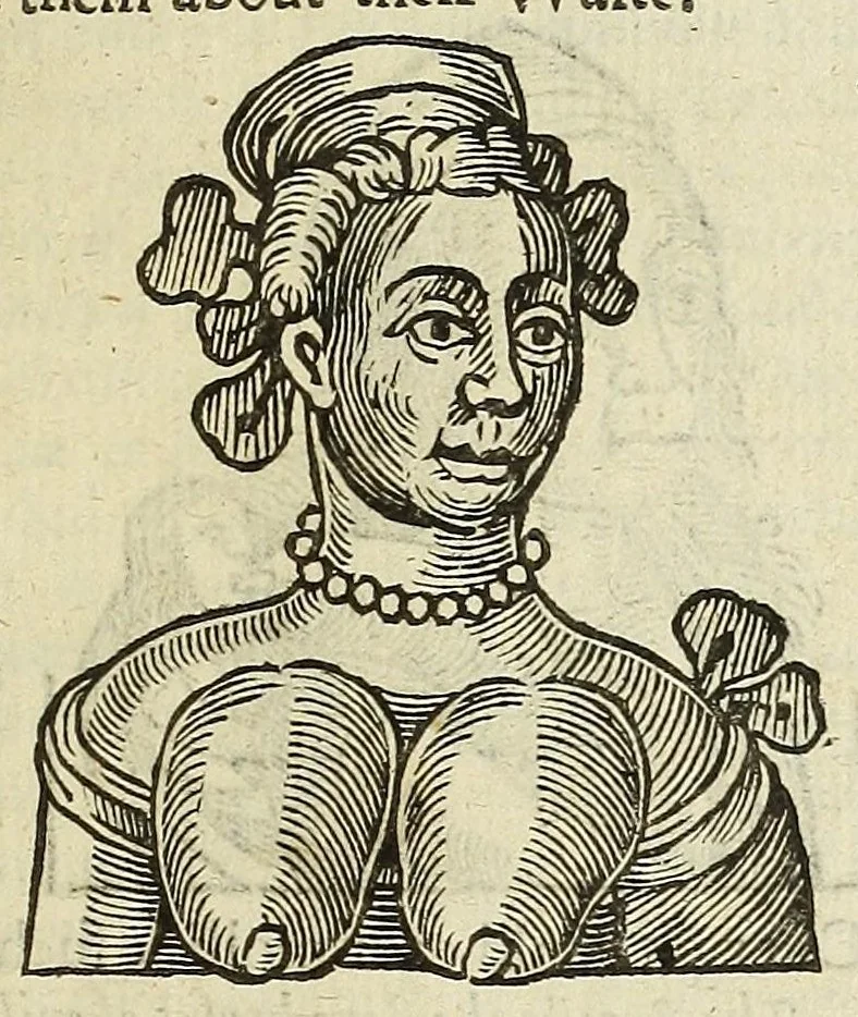 An illustration from Anthropometamorphosis: man transform'd: or, The artificiall changling, historically presented, in the mad and cruel gallantry, foolish bravery, ridiculous beauty, filthy finenesse, and loathsome loveliness of most nations, fashioning and altering their bodies from the mould intended by nature; with figures of those transformations. To which artificial and affected deformations are added, all the native and national monstrosities that have appeared to disfigure the humane fabrick. With a vindication of the regular beauty and honesty of nature, 1653, leaf 369