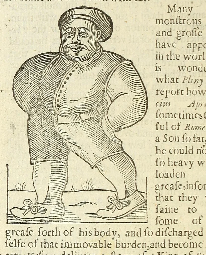 An illustration from Anthropometamorphosis: man transform'd: or, The artificiall changling, historically presented, in the mad and cruel gallantry, foolish bravery, ridiculous beauty, filthy finenesse, and loathsome loveliness of most nations, fashioning and altering their bodies from the mould intended by nature; with figures of those transformations. To which artificial and affected deformations are added, all the native and national monstrosities that have appeared to disfigure the humane fabrick. With a vindication of the regular beauty and honesty of nature, 1653, leaf 542