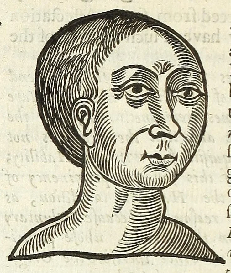 An illustration from Anthropometamorphosis: man transform'd: or, The artificiall changling, historically presented, in the mad and cruel gallantry, foolish bravery, ridiculous beauty, filthy finenesse, and loathsome loveliness of most nations, fashioning and altering their bodies from the mould intended by nature; with figures of those transformations. To which artificial and affected deformations are added, all the native and national monstrosities that have appeared to disfigure the humane fabrick. With a vindication of the regular beauty and honesty of nature, 1653, leaf 66