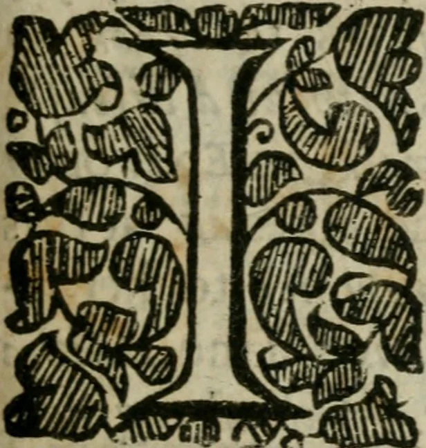 An illustration from Anthroposophia theomagica, or, A discourse of the nature of man and his state after death : grounded on his creator's proto-chimistry and verifi'd by a practicall examination of principles in the great world, 1650, leaf 14