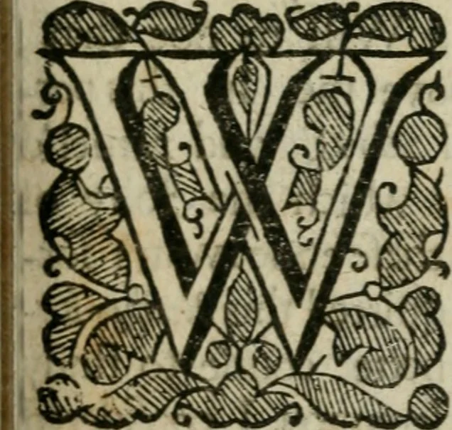 An illustration from Anthroposophia theomagica, or, A discourse of the nature of man and his state after death : grounded on his creator's proto-chimistry and verifi'd by a practicall examination of principles in the great world, 1650, leaf 24