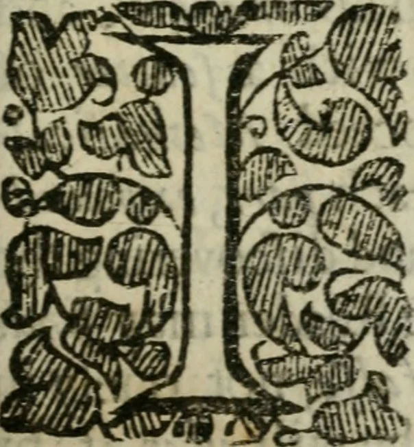 An illustration from Anthroposophia theomagica, or, A discourse of the nature of man and his state after death : grounded on his creator's proto-chimistry and verifi'd by a practicall examination of principles in the great world, 1650, leaf 90
