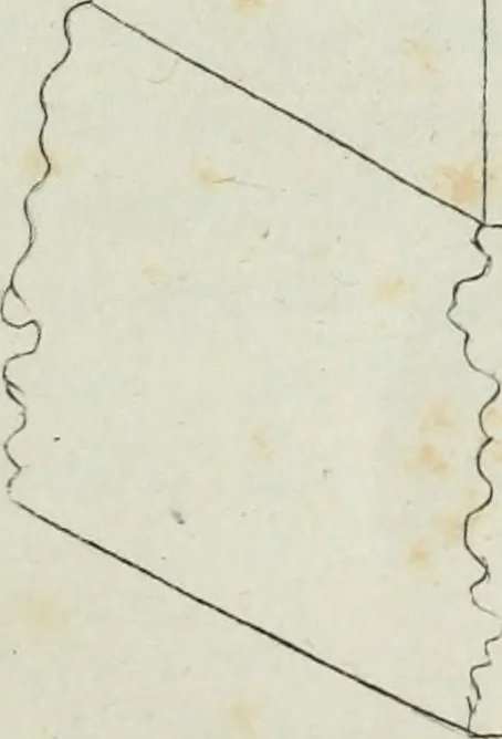 An illustration from Antiche iscrizioni Perugine; raccolte dichiarate e pubblicate, 1833, leaf 122