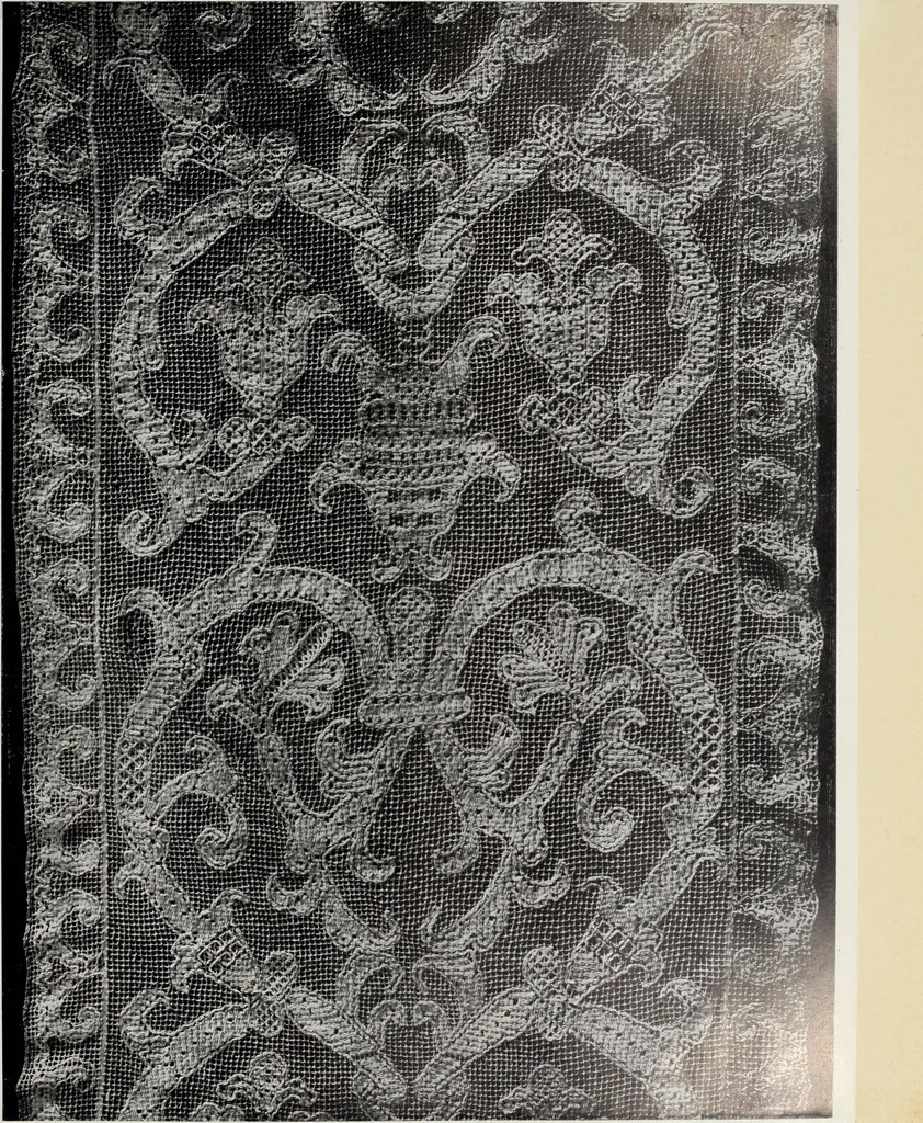An illustration from Antiche trine italiane : trine ad ago, 1908, leaf 100