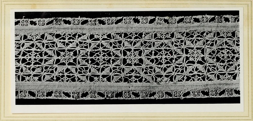 An illustration from Antiche trine italiane : trine ad ago, 1908, leaf 147