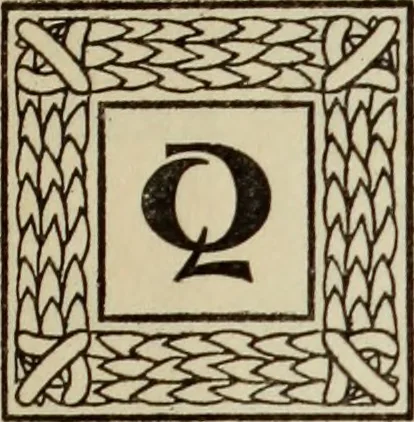 An illustration from Antiche trine italiane : trine ad ago, 1908, leaf 16