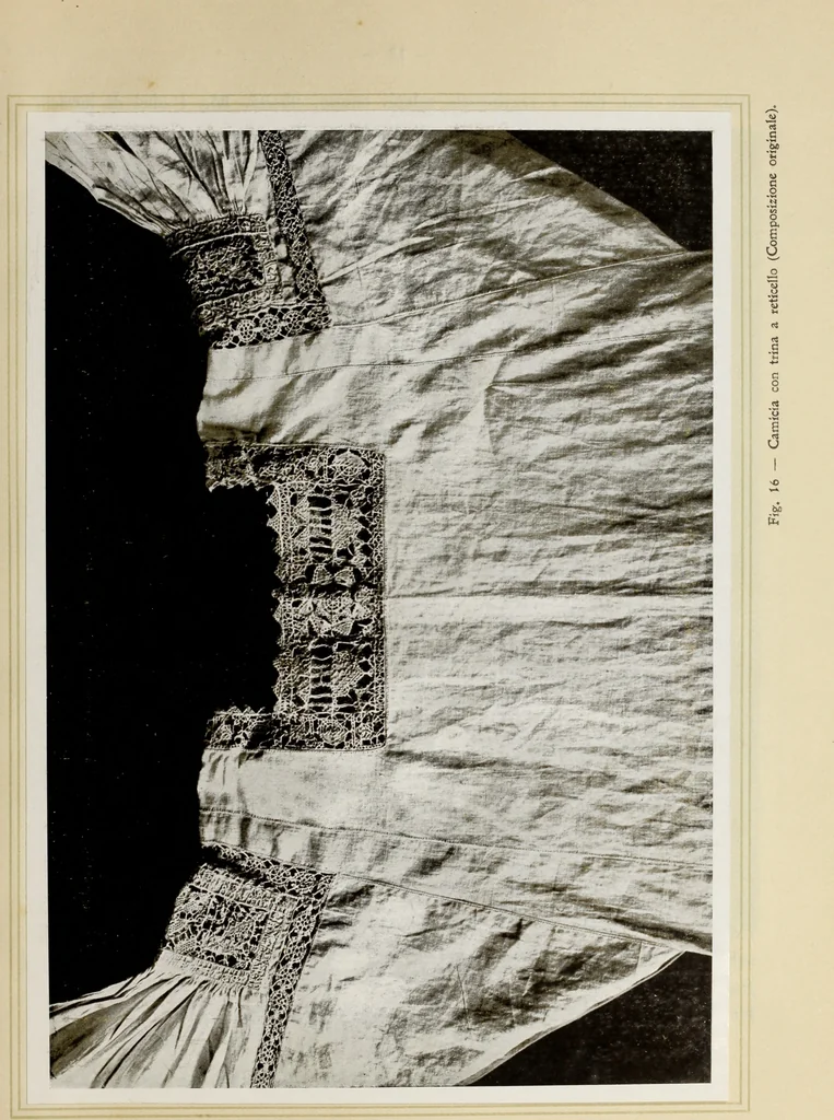 An illustration from Antiche trine italiane : trine ad ago, 1908, leaf 160