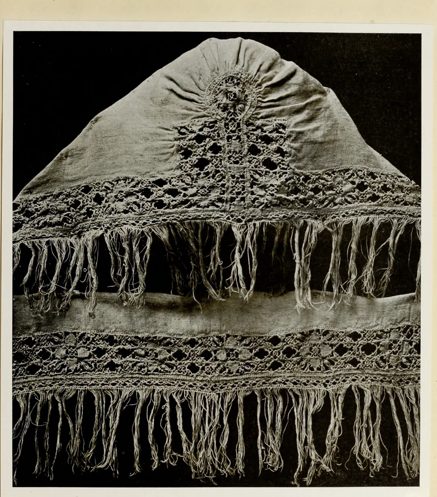 An illustration from Antiche trine italiane : trine ad ago, 1908, leaf 162