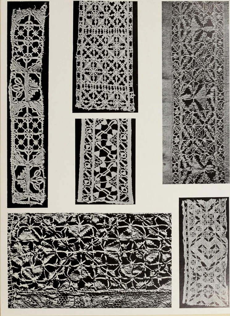 An illustration from Antiche trine italiane : trine ad ago, 1908, leaf 188
