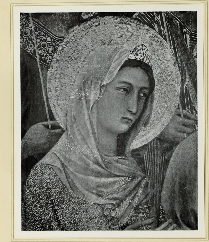 An illustration from Antiche trine italiane : trine ad ago, 1908, leaf 19