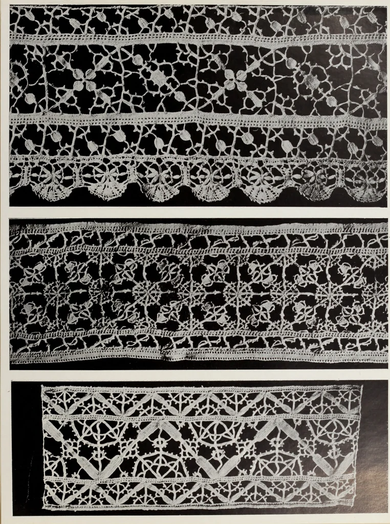 An illustration from Antiche trine italiane : trine ad ago, 1908, leaf 200