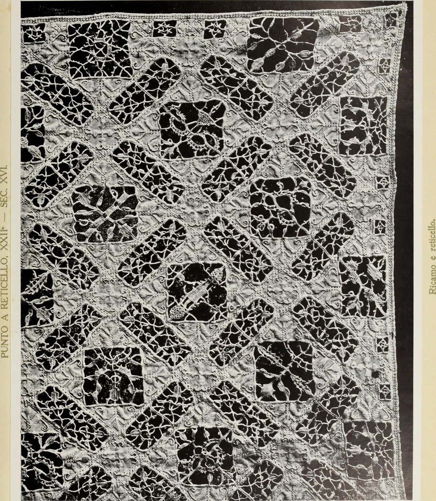 An illustration from Antiche trine italiane : trine ad ago, 1908, leaf 210