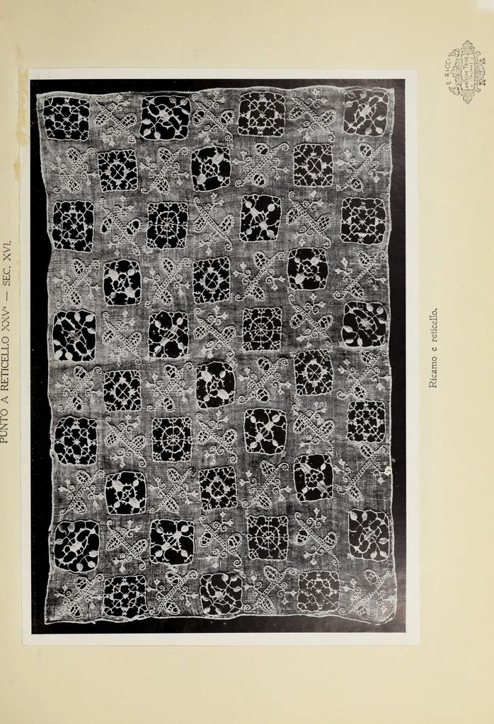 An illustration from Antiche trine italiane : trine ad ago, 1908, leaf 216