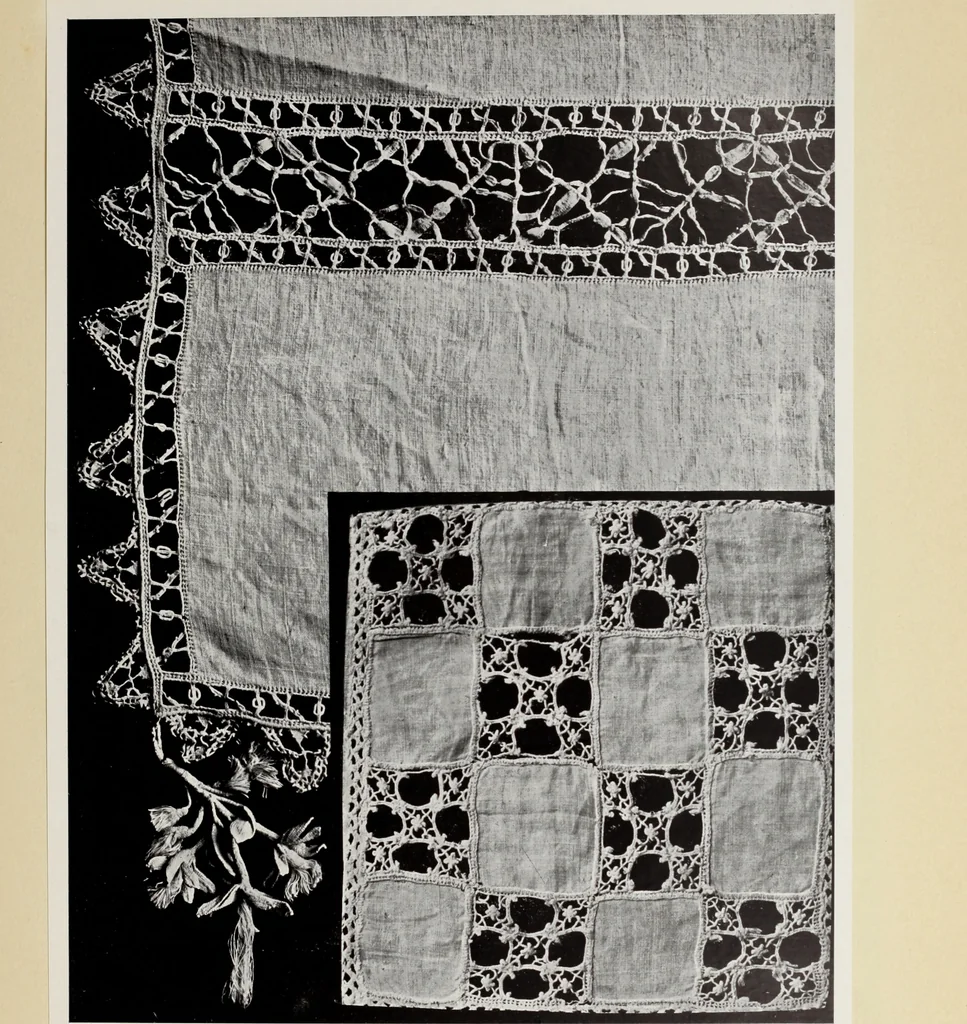 An illustration from Antiche trine italiane : trine ad ago, 1908, leaf 226