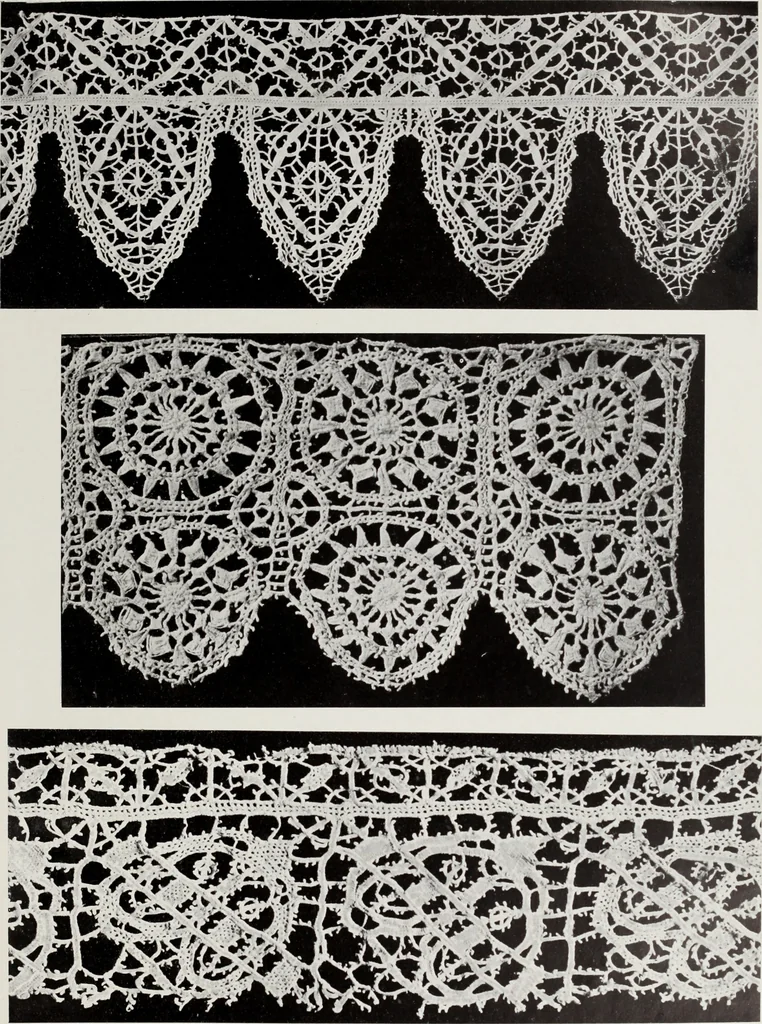 An illustration from Antiche trine italiane : trine ad ago, 1908, leaf 240