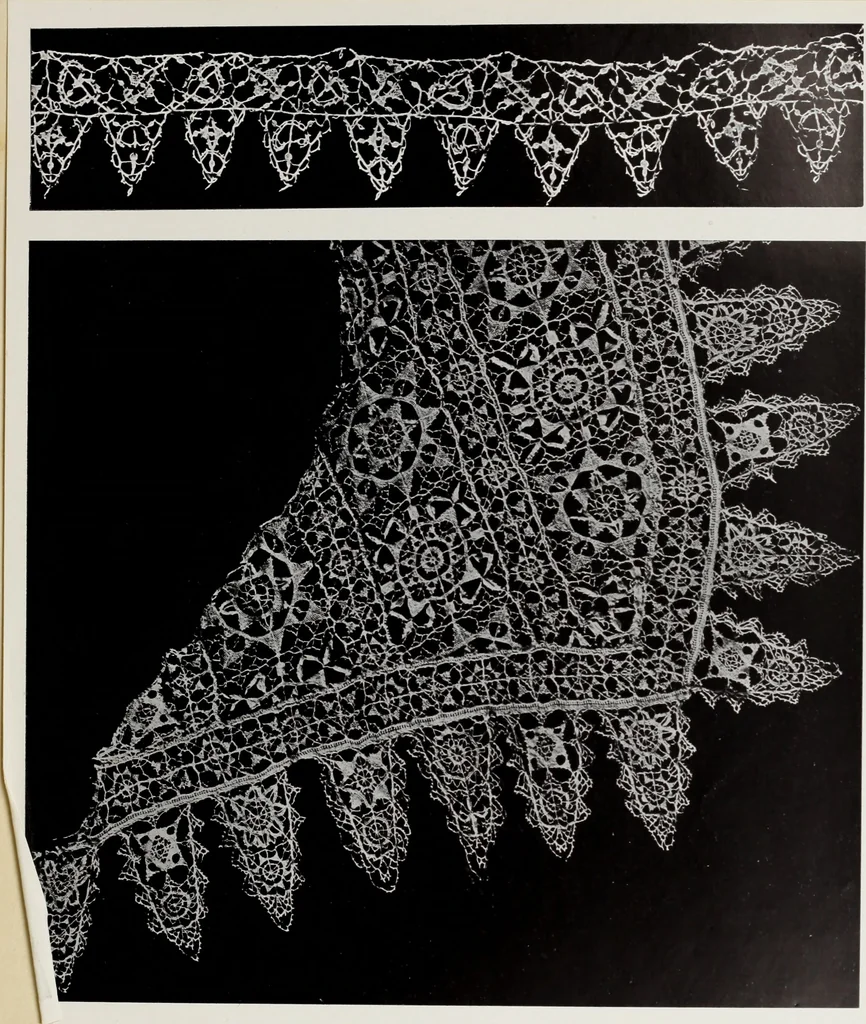 An illustration from Antiche trine italiane : trine ad ago, 1908, leaf 242