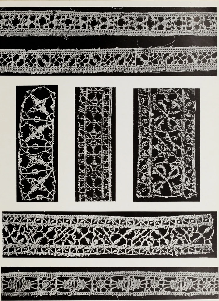 An illustration from Antiche trine italiane : trine ad ago, 1908, leaf 252