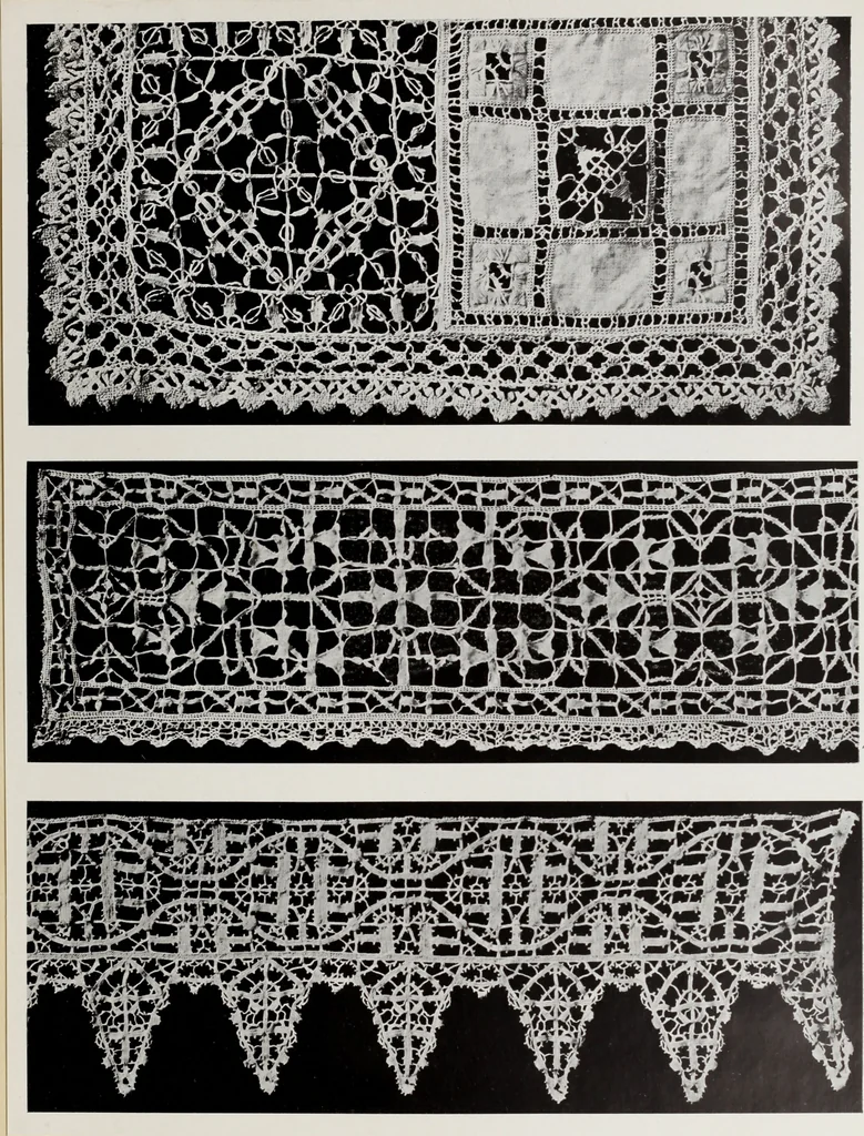 An illustration from Antiche trine italiane : trine ad ago, 1908, leaf 254