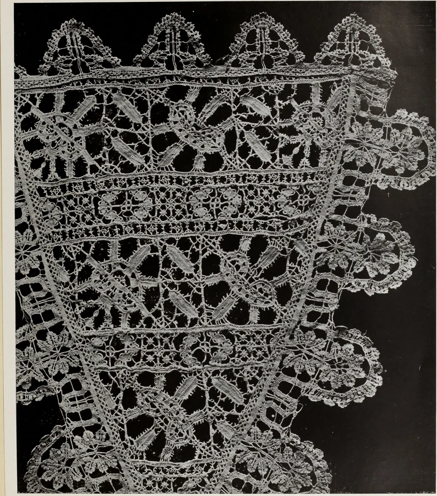An illustration from Antiche trine italiane : trine ad ago, 1908, leaf 258