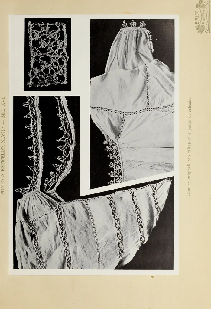 An illustration from Antiche trine italiane : trine ad ago, 1908, leaf 262