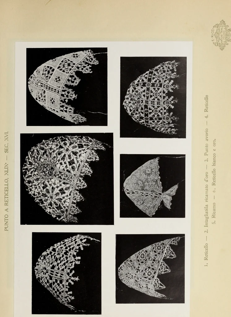 An illustration from Antiche trine italiane : trine ad ago, 1908, leaf 264