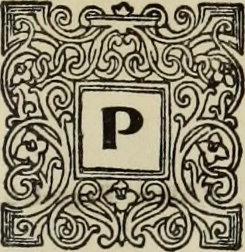 An illustration from Antiche trine italiane : trine ad ago, 1908, leaf 278