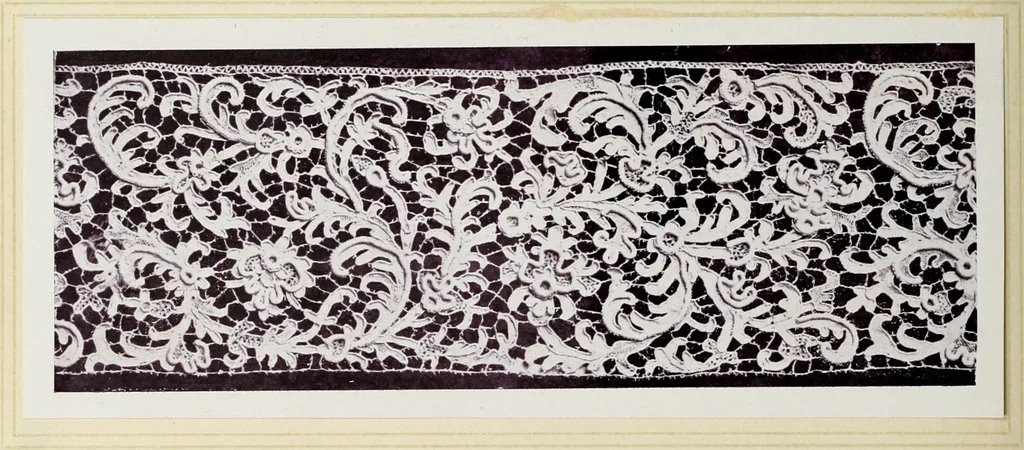 An illustration from Antiche trine italiane : trine ad ago, 1908, leaf 301