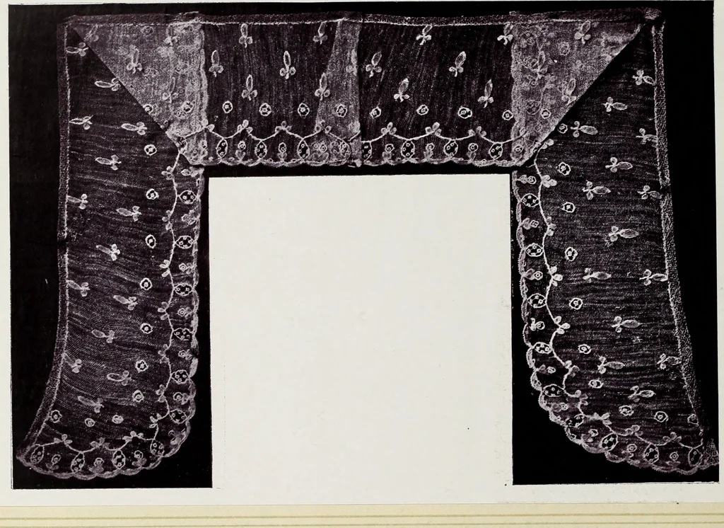 An illustration from Antiche trine italiane : trine ad ago, 1908, leaf 305