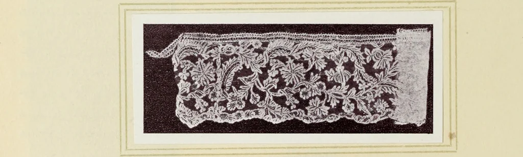 An illustration from Antiche trine italiane : trine ad ago, 1908, leaf 307