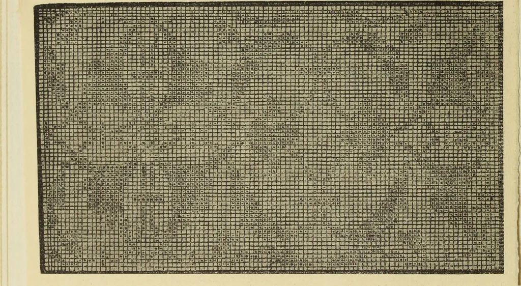 An illustration from Antiche trine italiane : trine ad ago, 1908, leaf 31