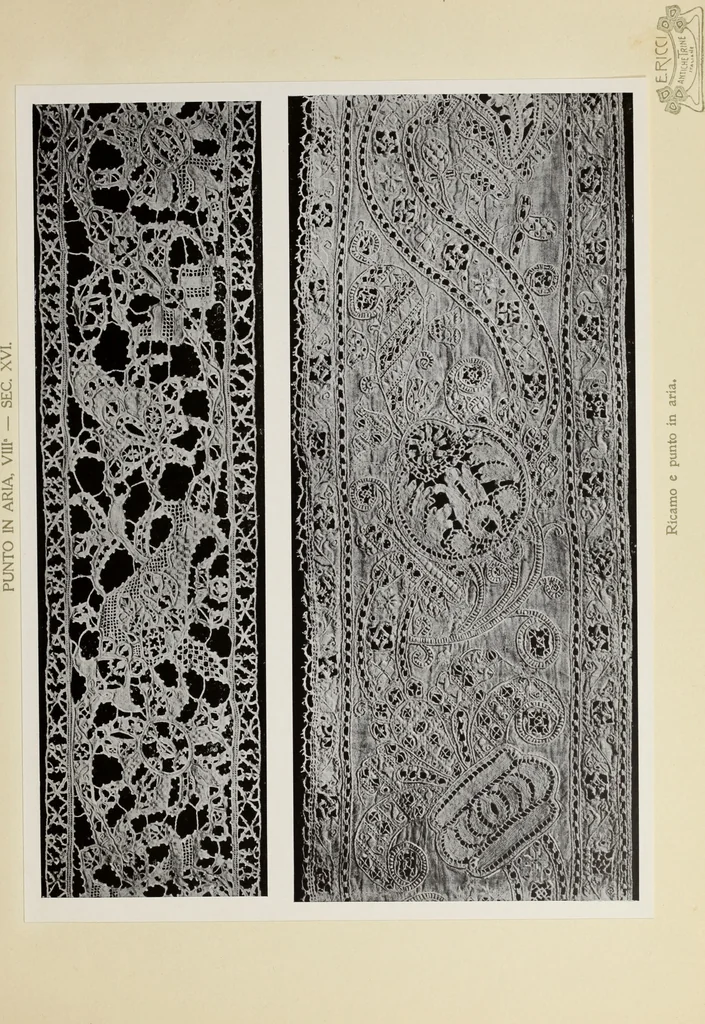 An illustration from Antiche trine italiane : trine ad ago, 1908, leaf 324