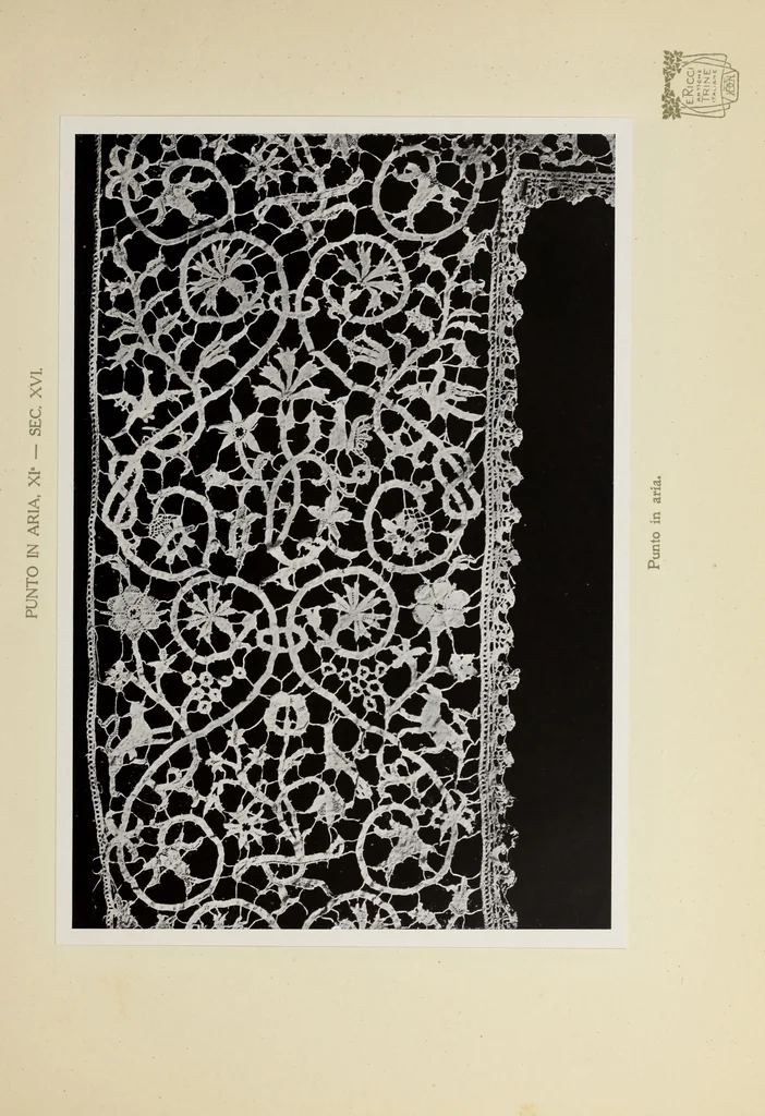 An illustration from Antiche trine italiane : trine ad ago, 1908, leaf 330