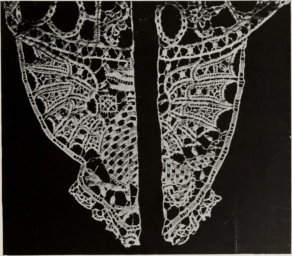 An illustration from Antiche trine italiane : trine ad ago, 1908, leaf 334