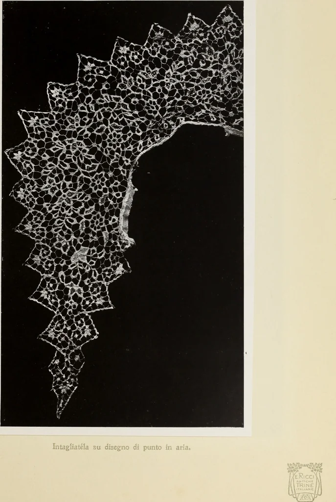 An illustration from Antiche trine italiane : trine ad ago, 1908, leaf 346
