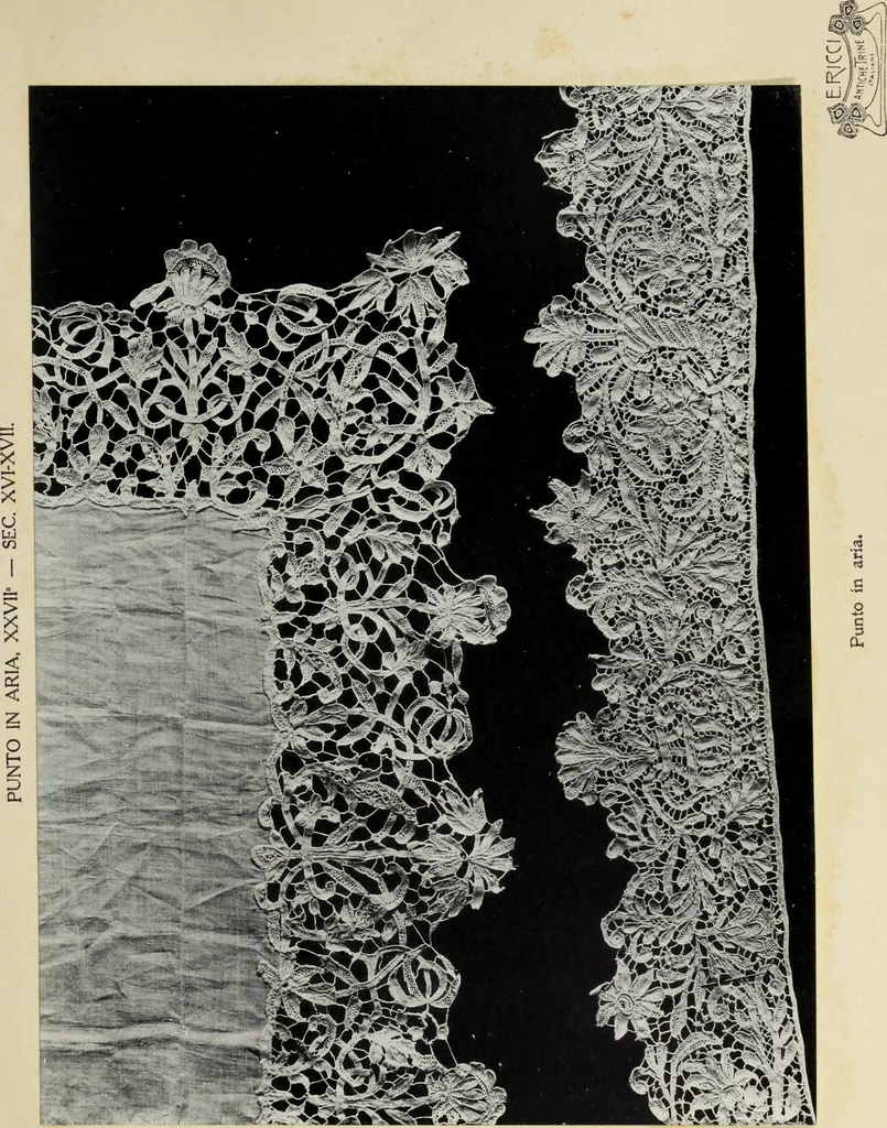 An illustration from Antiche trine italiane : trine ad ago, 1908, leaf 362