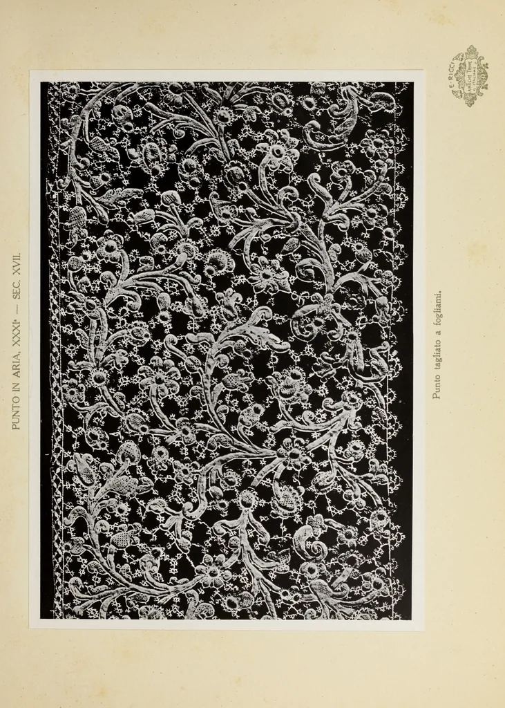An illustration from Antiche trine italiane : trine ad ago, 1908, leaf 370