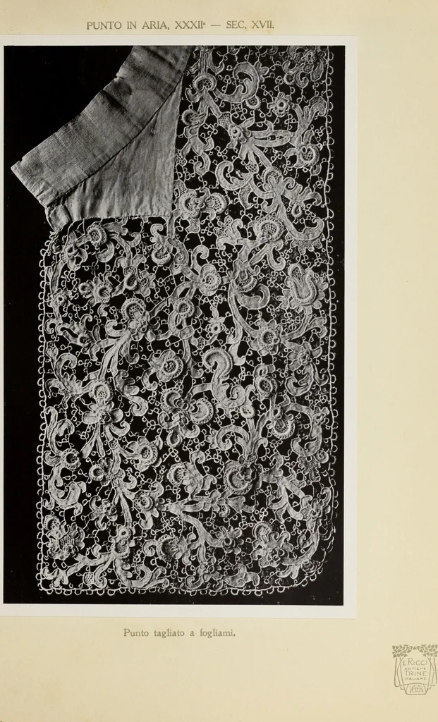An illustration from Antiche trine italiane : trine ad ago, 1908, leaf 372