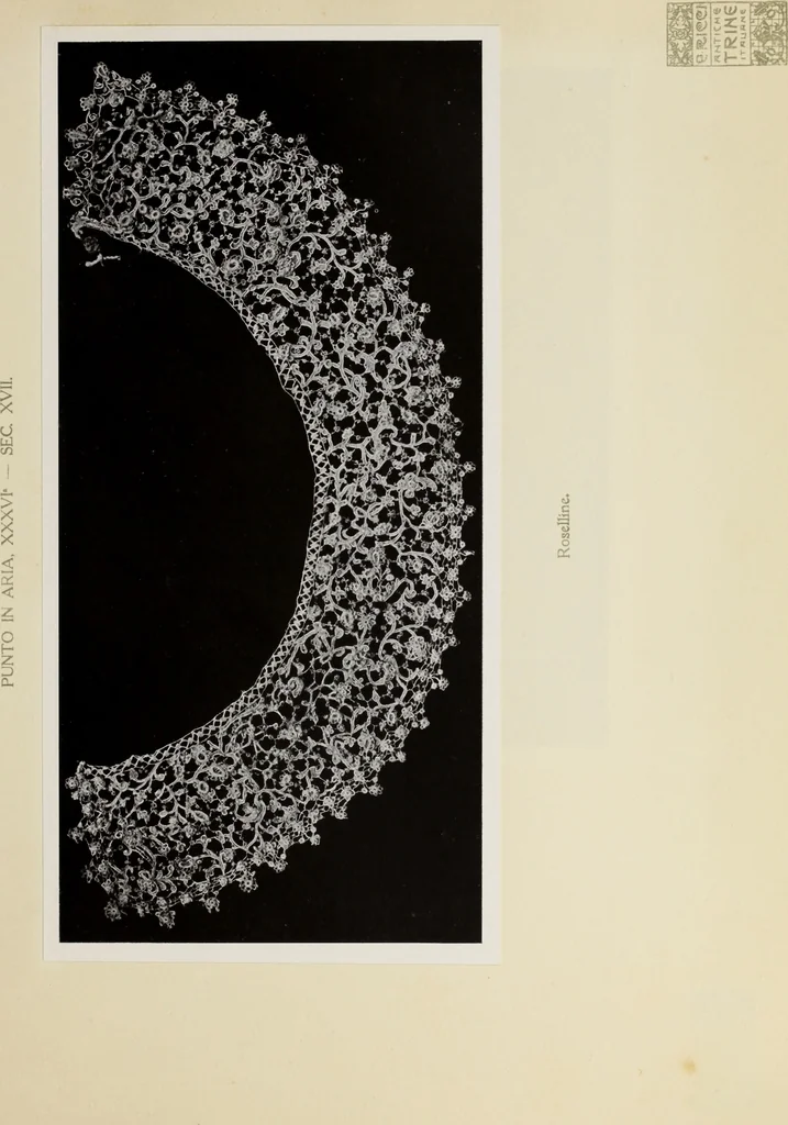 An illustration from Antiche trine italiane : trine ad ago, 1908, leaf 380