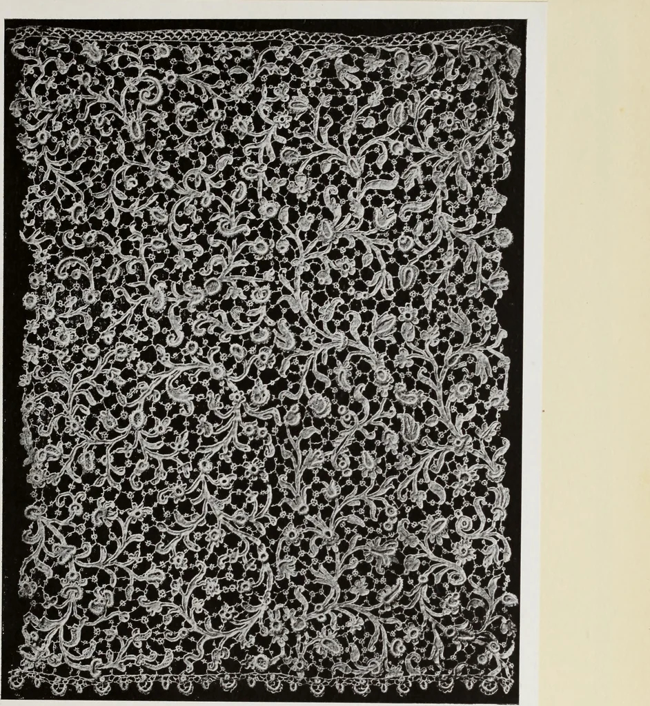 An illustration from Antiche trine italiane : trine ad ago, 1908, leaf 382