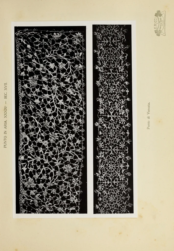 An illustration from Antiche trine italiane : trine ad ago, 1908, leaf 386