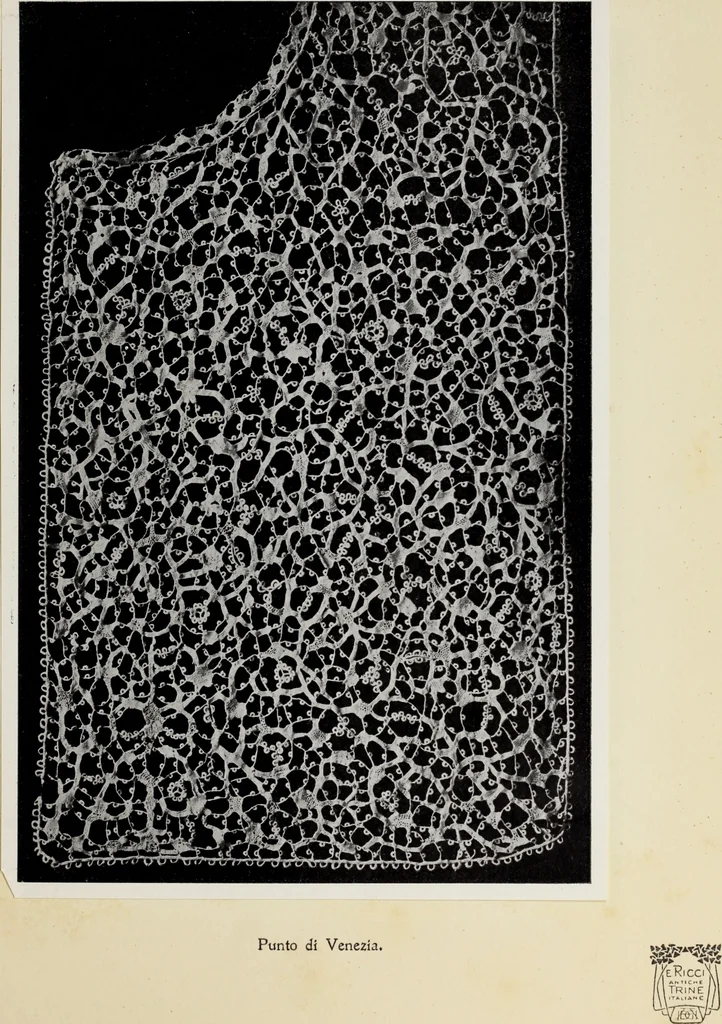 An illustration from Antiche trine italiane : trine ad ago, 1908, leaf 388
