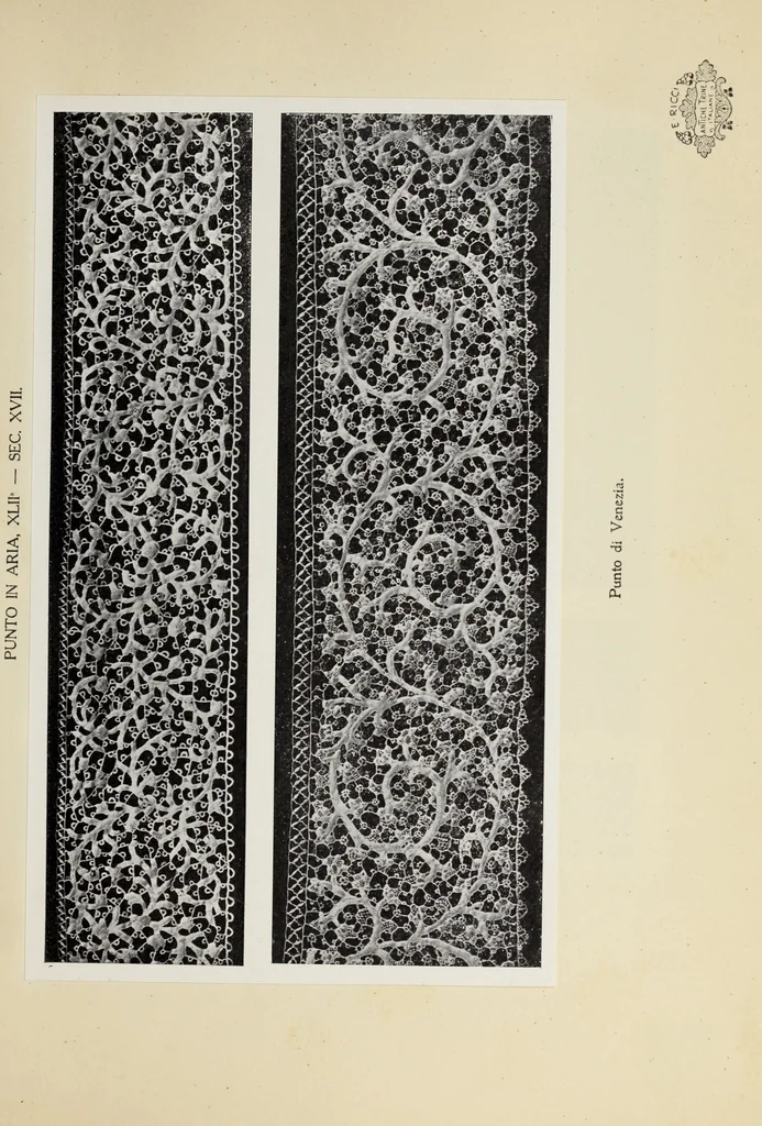 An illustration from Antiche trine italiane : trine ad ago, 1908, leaf 392