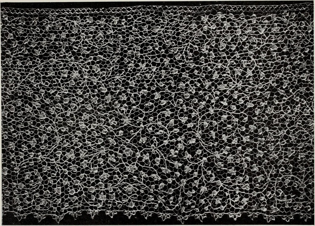 An illustration from Antiche trine italiane : trine ad ago, 1908, leaf 394