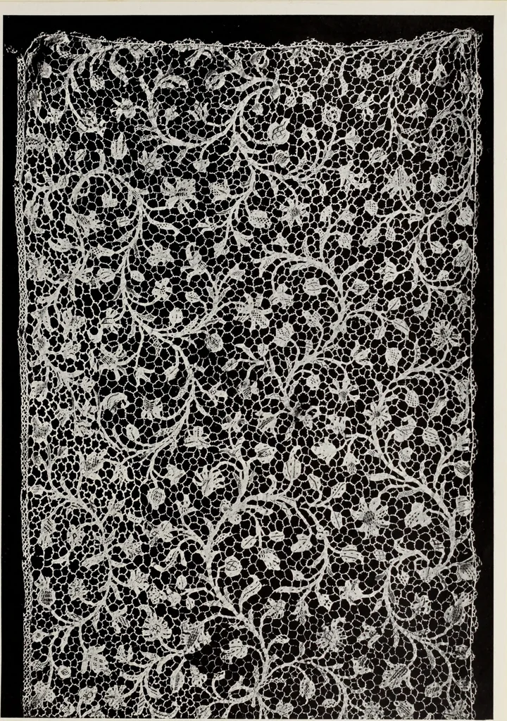 An illustration from Antiche trine italiane : trine ad ago, 1908, leaf 398